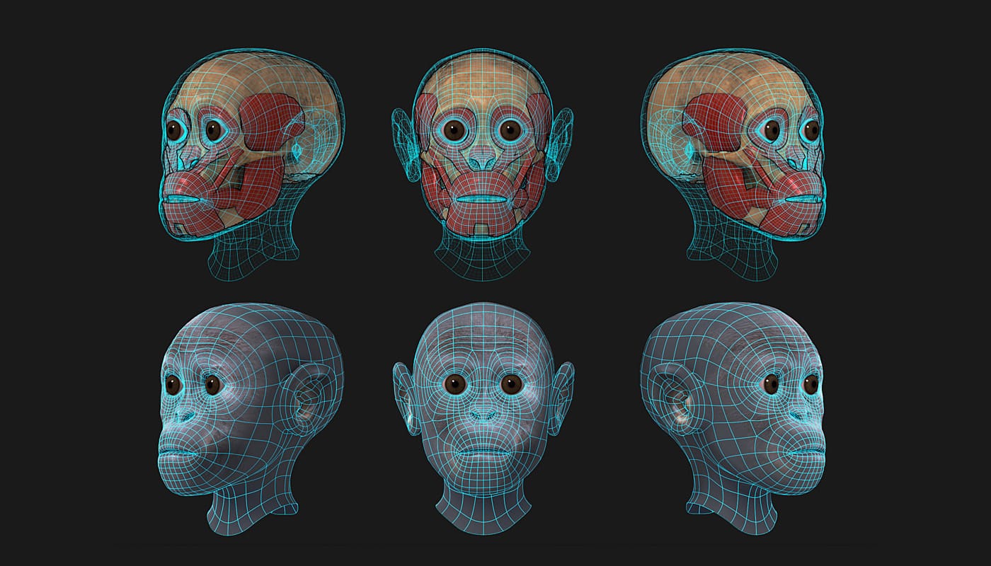 Project Taung e OpenCV